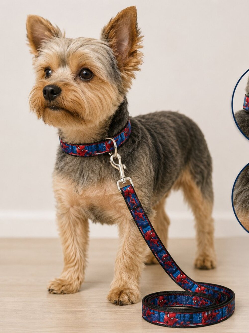 Spider Man Dog Leash and Collar Set